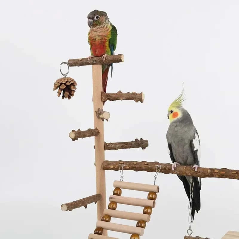 Aire de Jeux en Bois pour Perroquet