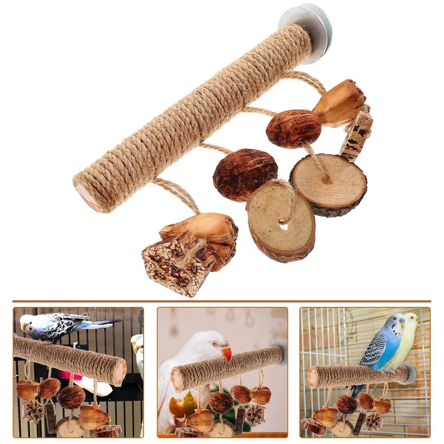 Perchoir en bois pour oiseaux | Fixation à vis & Jouets suspendus
