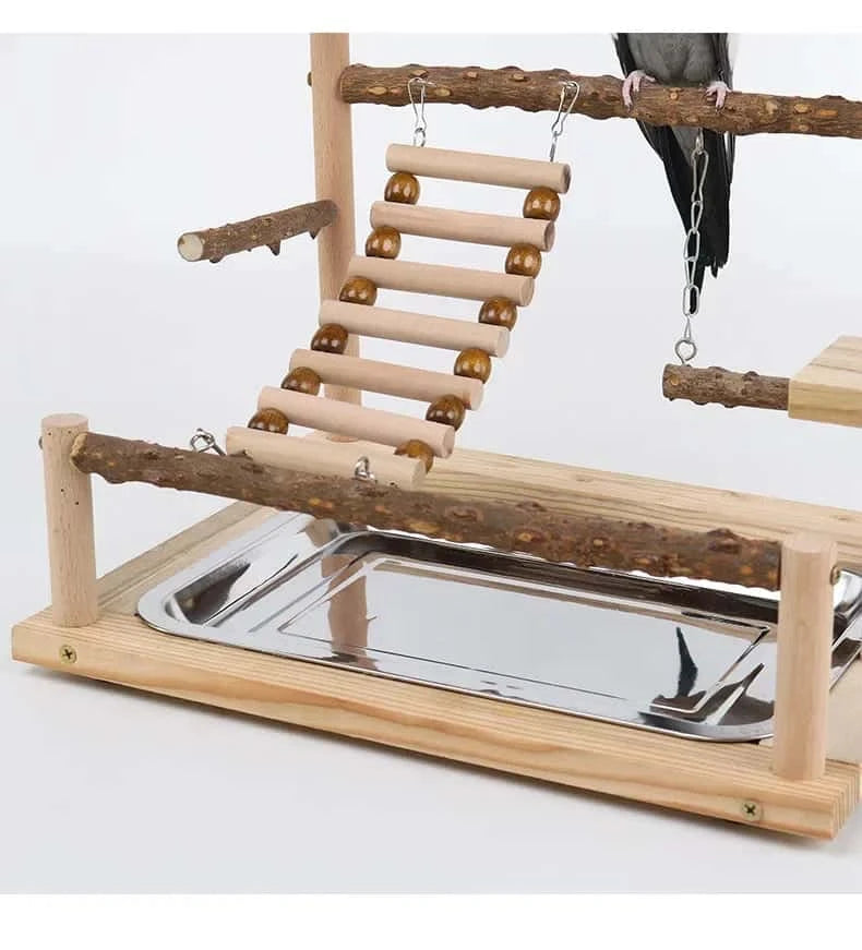 Aire de Jeux en Bois pour Perroquet