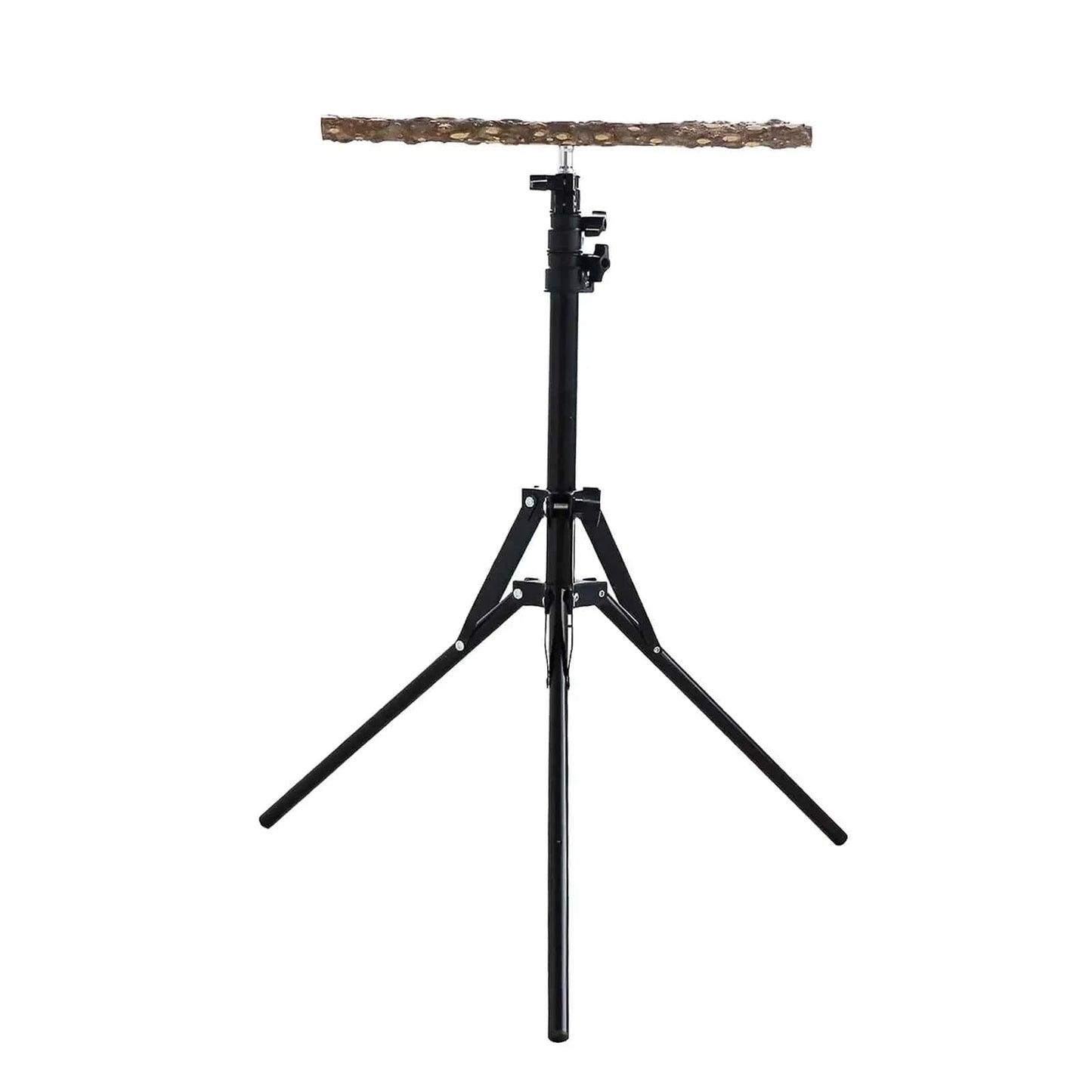 Perchoir réglable pour perroquet | Support trépied bois & métal