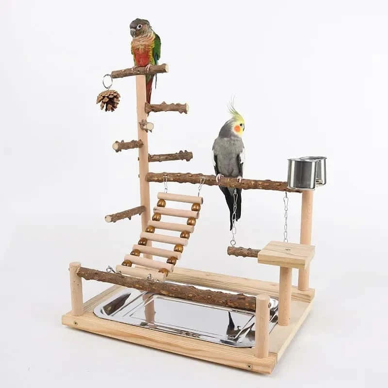 Aire de Jeux en Bois pour Perroquet