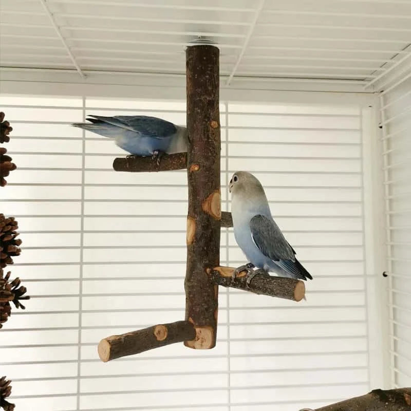 Perchoir en Bois de Pommier Naturel pour Oiseaux