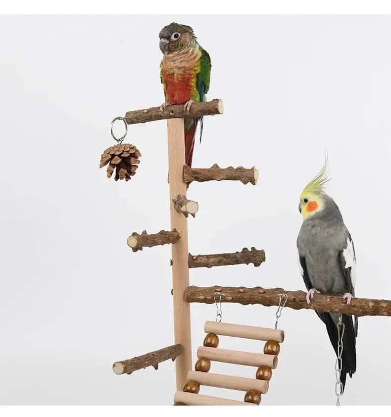 Aire de Jeux en Bois pour Perroquet
