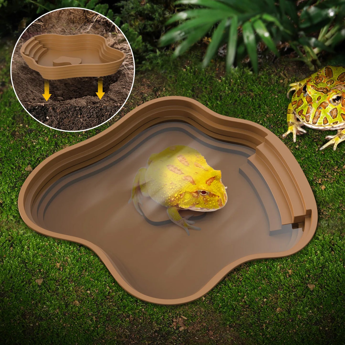 Bassin pour terrarium enterrable – Intégration parfaite au décor