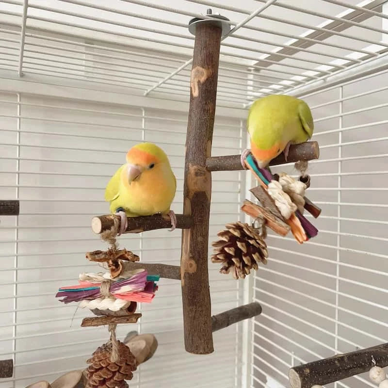 Perchoir en Bois de Pommier Naturel pour Oiseaux