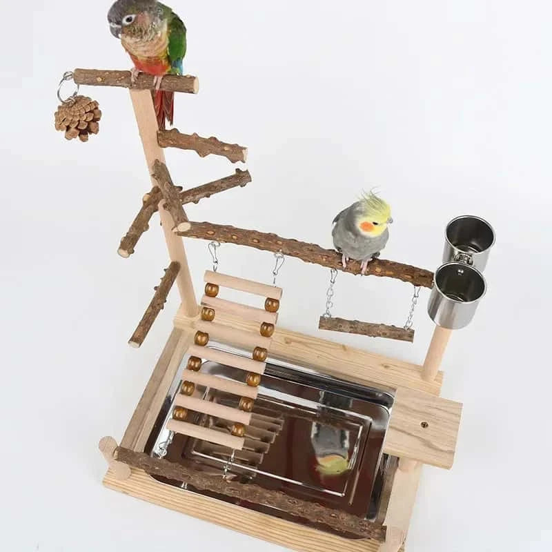 Aire de Jeux en Bois pour Perroquet