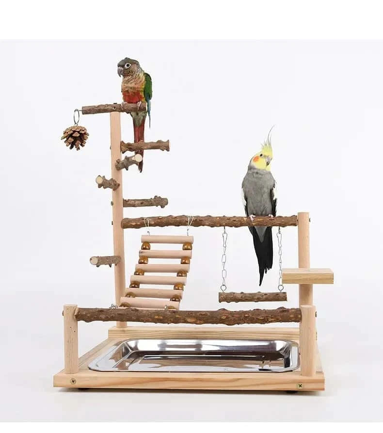 Aire de Jeux en Bois pour Perroquet