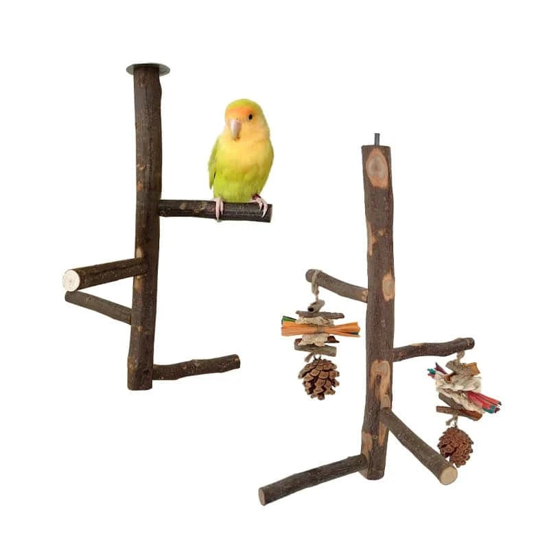 Perchoir en Bois de Pommier Naturel pour Oiseaux