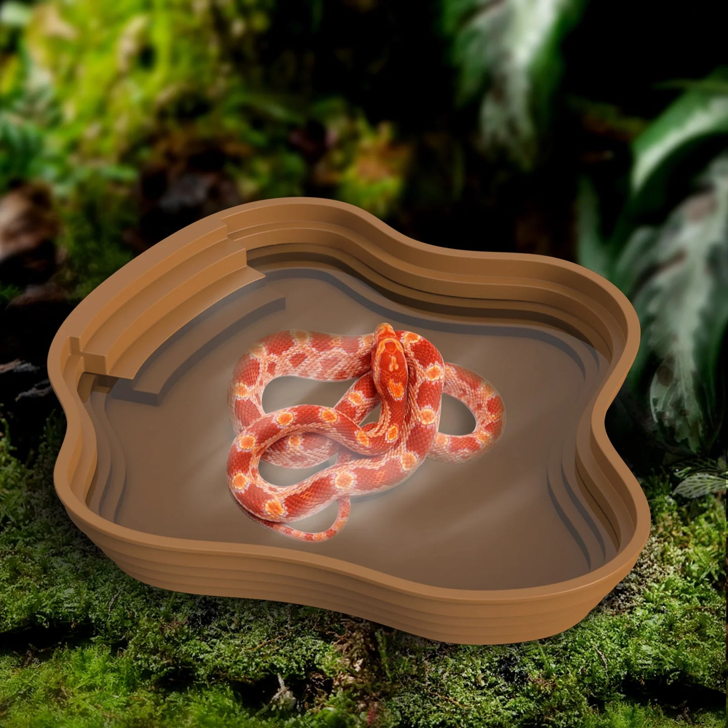 Bassin pour terrarium enterrable – Intégration parfaite au décor