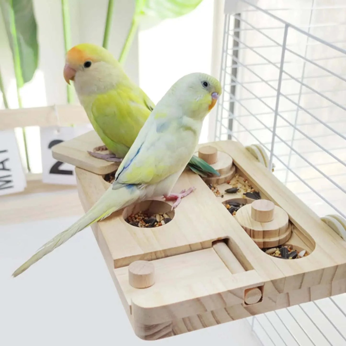 Jouet d’intelligence pour oiseaux | Plateau à friandises en bois
