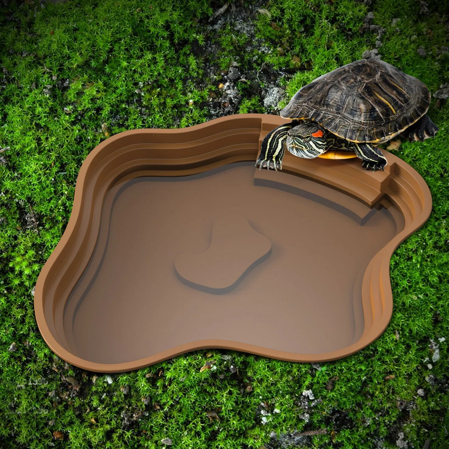 Bassin pour terrarium enterrable – Intégration parfaite au décor