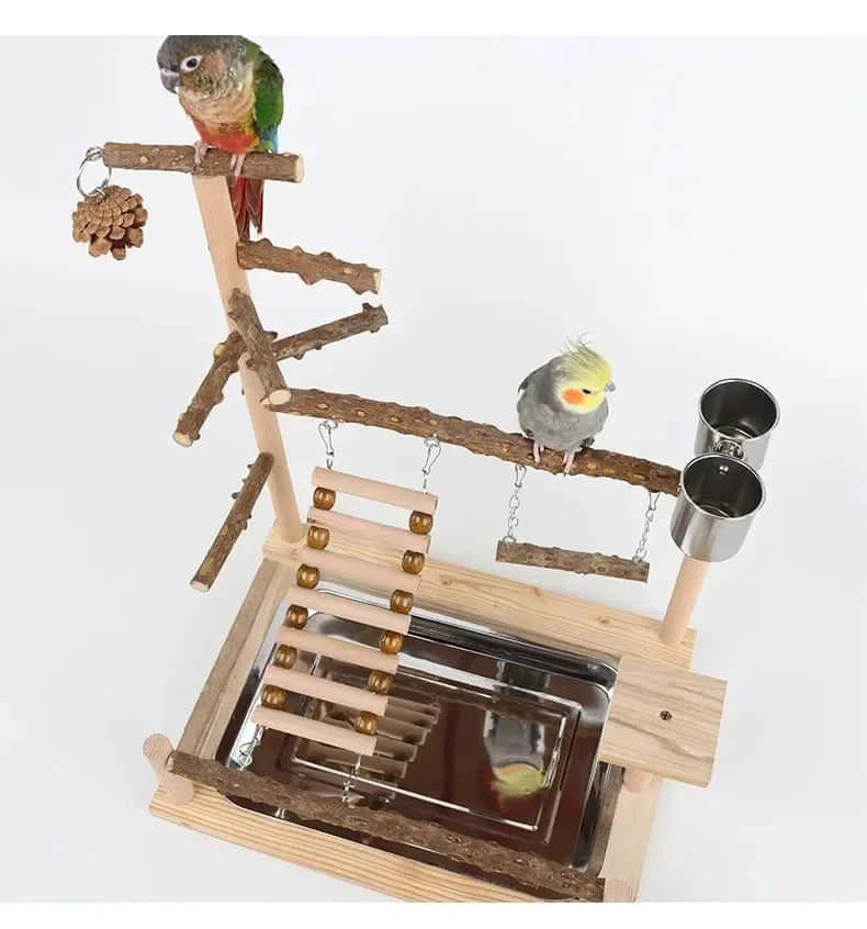 Aire de Jeux en Bois pour Perroquet