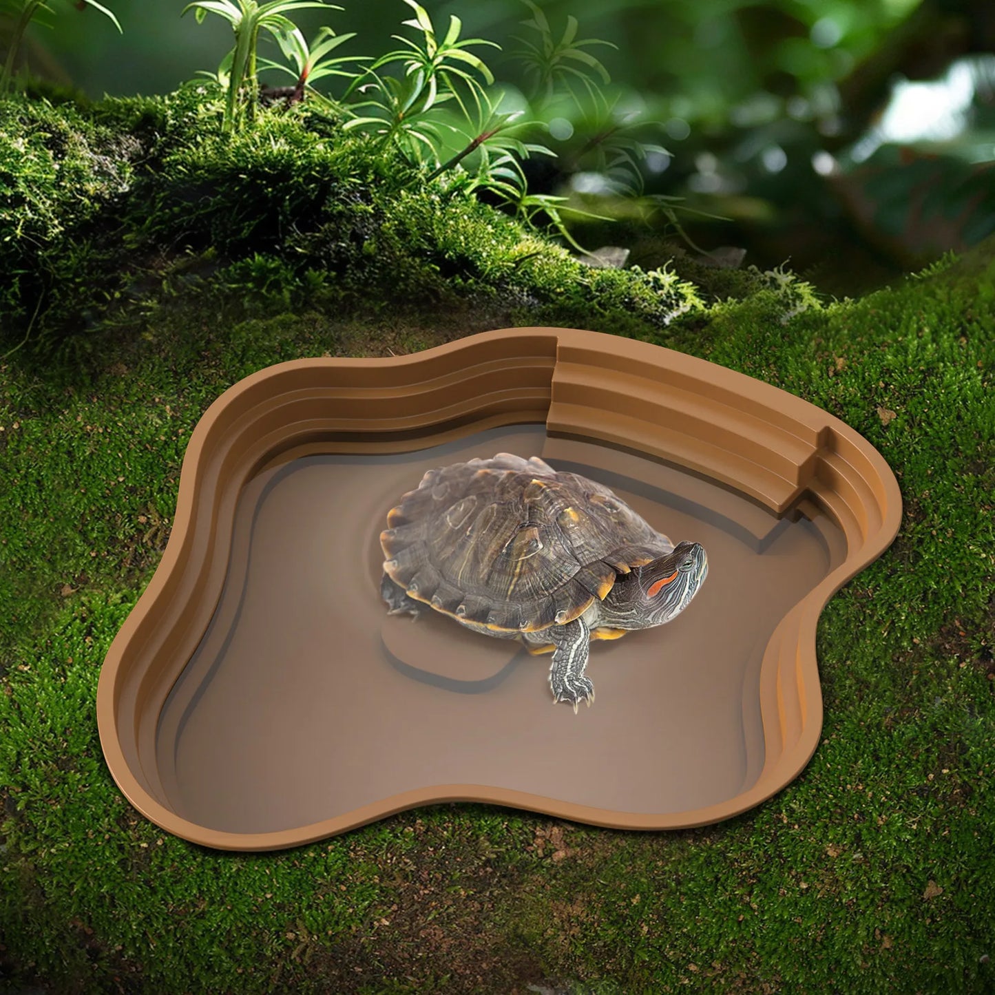 Bassin pour terrarium enterrable – Intégration parfaite au décor