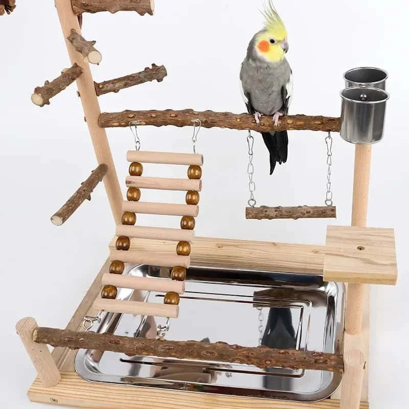 Aire de Jeux en Bois pour Perroquet