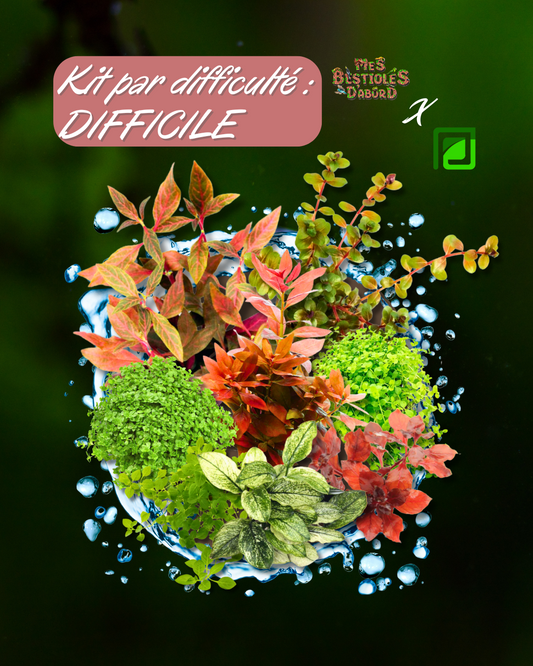 Kit de Plantes d'Aquarium | Niveau Difficile