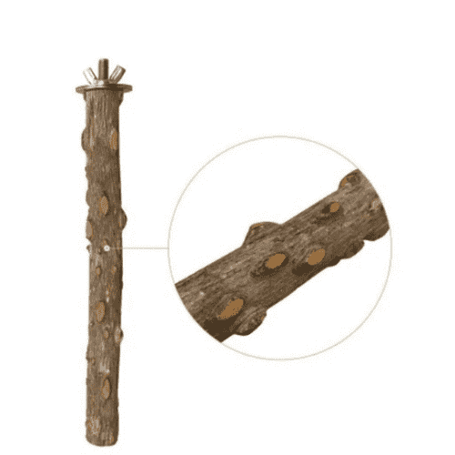 Lot de 4 perchoirs en bois naturel pour petits oiseaux