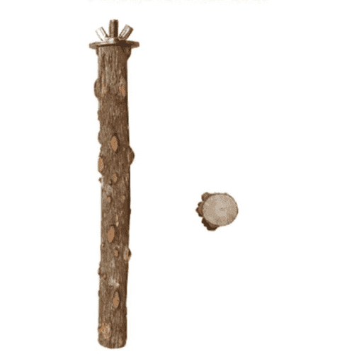 Lot de 4 perchoirs en bois naturel pour petits oiseaux
