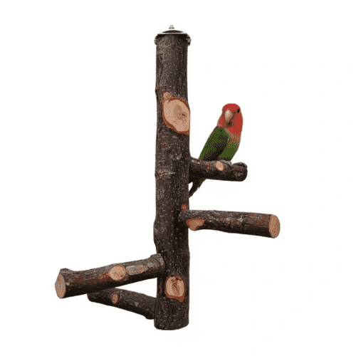 Perchoir en Bois de Pommier Naturel pour Oiseaux