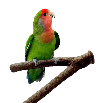 Perchoir en bois naturel pour oiseaux | Support de 16 cm