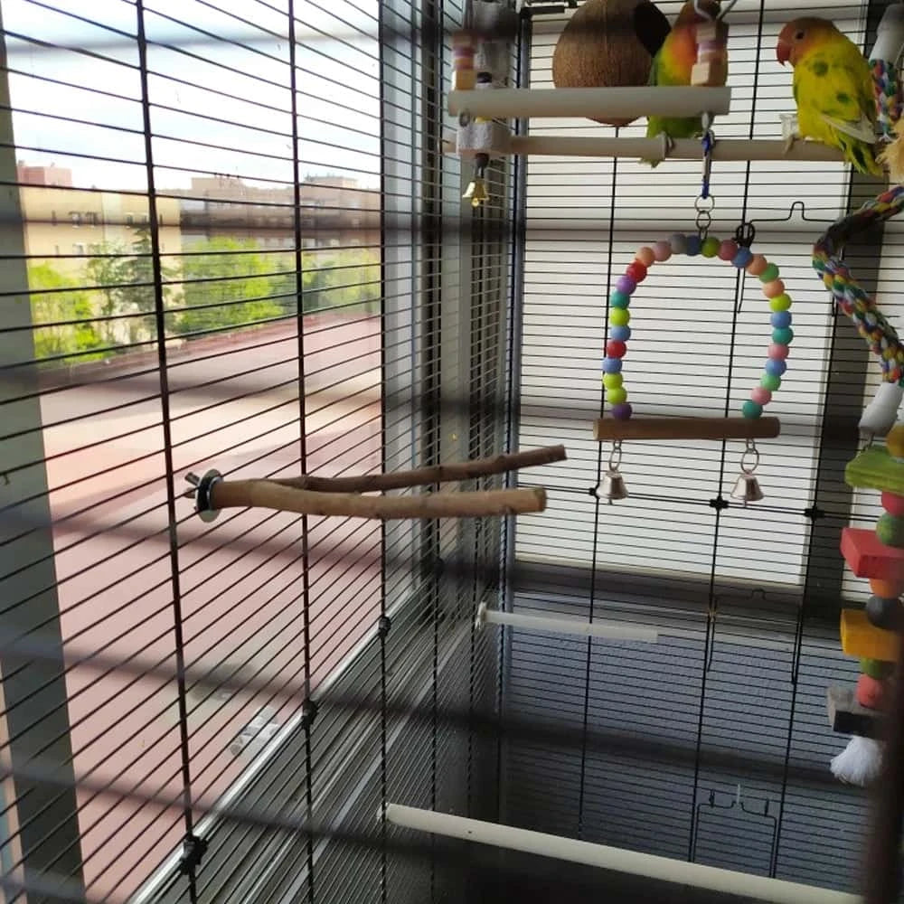 Perchoir en bois naturel pour oiseaux | Support de 16 cm