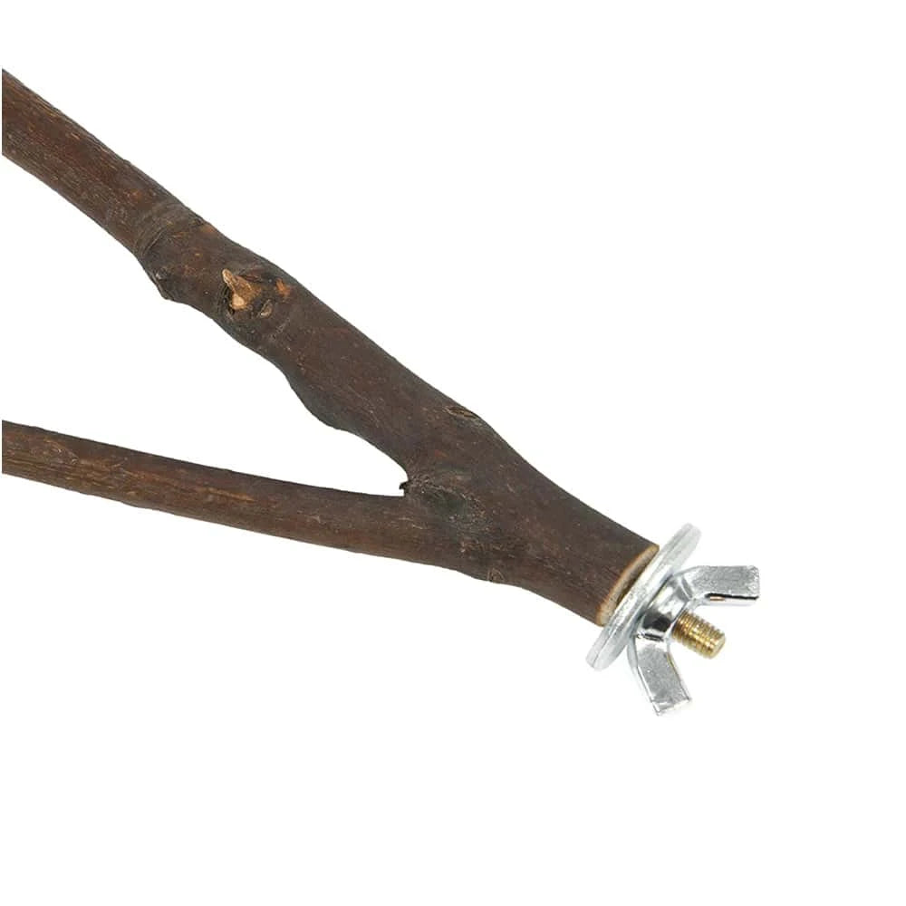 Perchoir en bois naturel pour oiseaux | Support de 16 cm