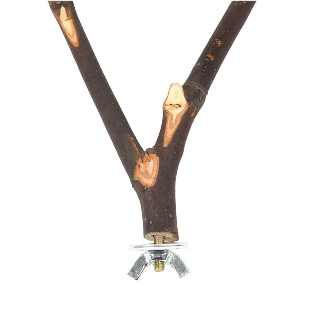 Perchoir en bois naturel pour oiseaux | Support de 16 cm