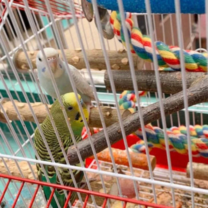 Lot de 4 perchoirs en bois naturel pour petits oiseaux