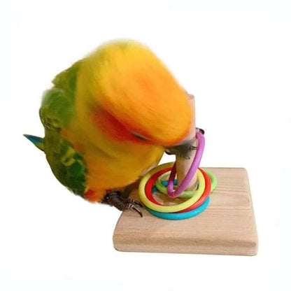 Jouet éducatif avec anneau pour oiseaux | Bois & plastique
