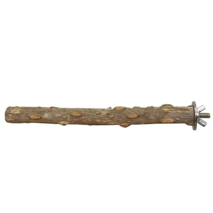 Lot de 4 perchoirs en bois naturel pour petits oiseaux