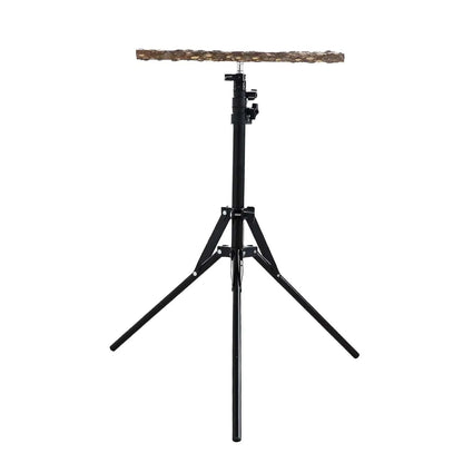 Perchoir réglable pour perroquet | Support trépied bois & métal
