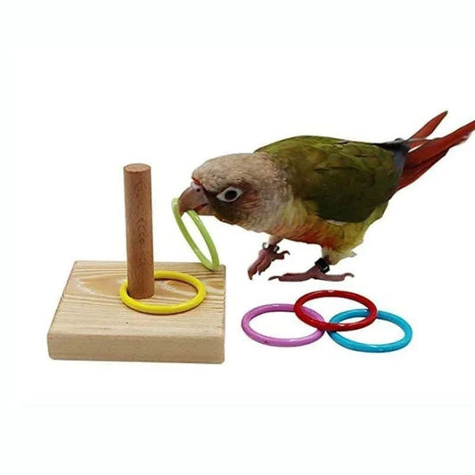 Jouet éducatif avec anneau pour oiseaux | Bois & plastique