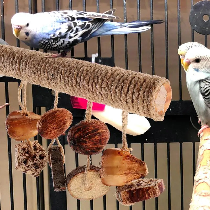 Perchoir en bois pour oiseaux | Fixation à vis & Jouets suspendus