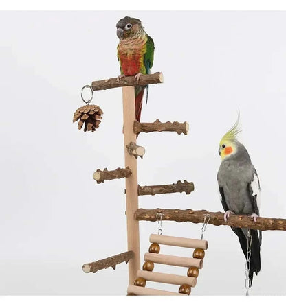 Aire de Jeux en Bois pour Perroquet