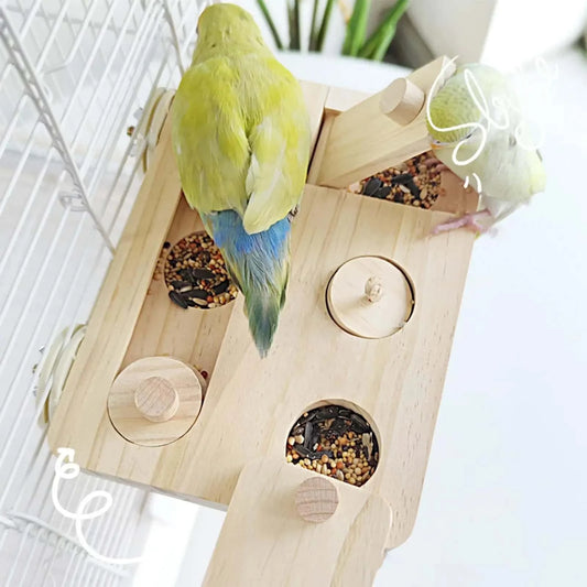 Jouet d’intelligence pour oiseaux | Plateau à friandises en bois