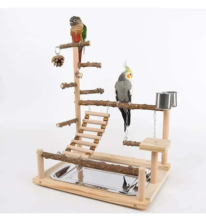 Aire de Jeux en Bois pour Perroquet