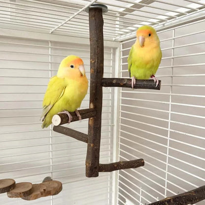 Perchoir en Bois de Pommier Naturel pour Oiseaux