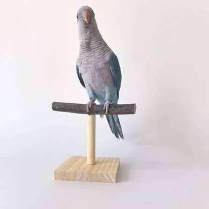 Perchoir en Bois Naturel pour oiseaux