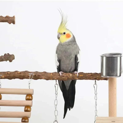 Aire de Jeux en Bois pour Perroquet