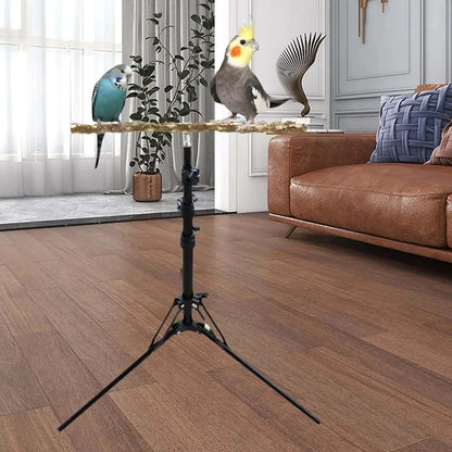 Perchoir réglable pour perroquet | Support trépied bois & métal