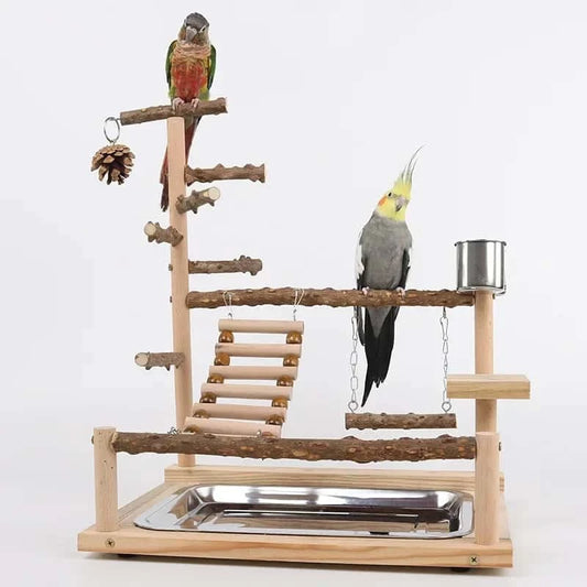 Aire de Jeux en Bois pour Perroquet