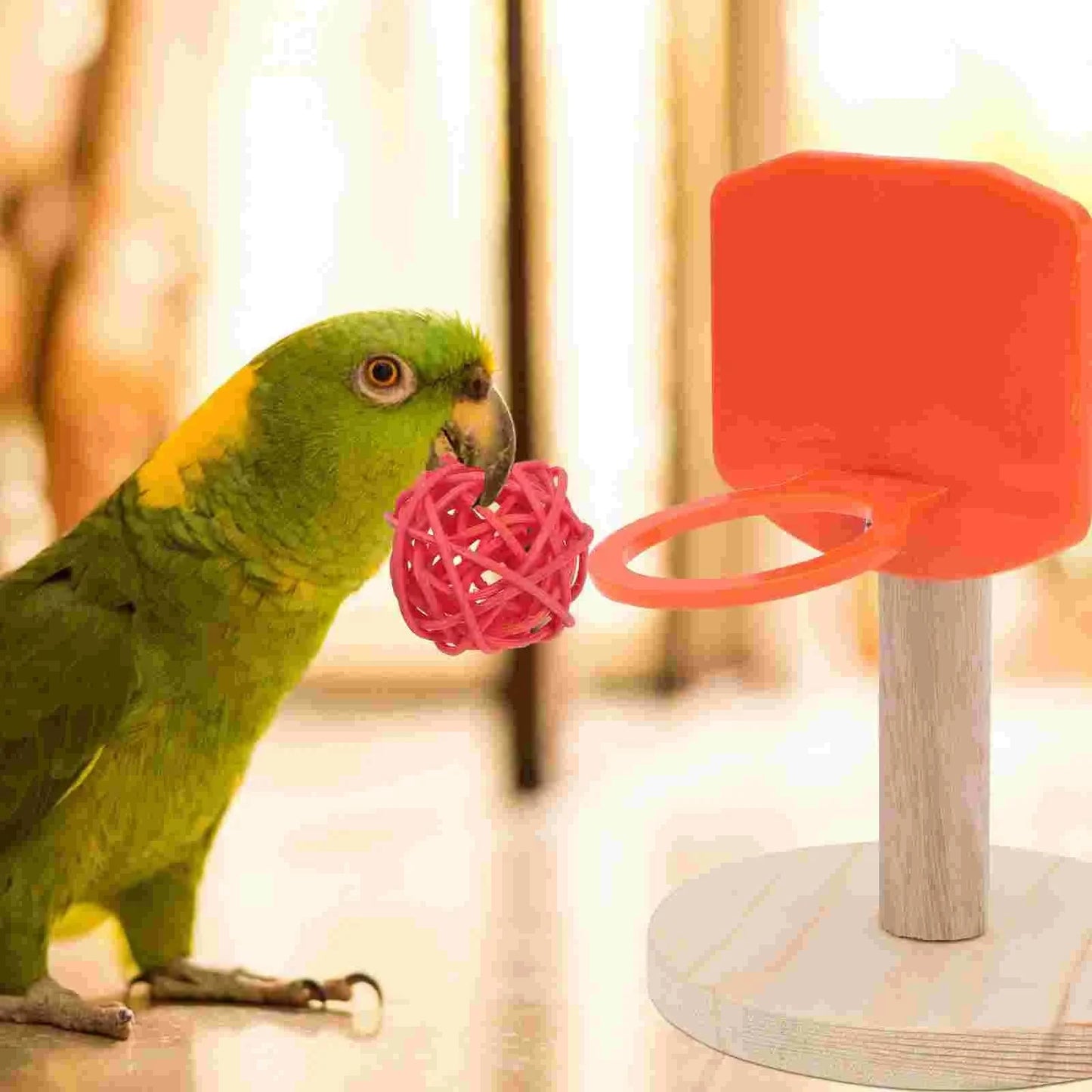 Panier de Basket pour Oiseaux | + 3 Balles
