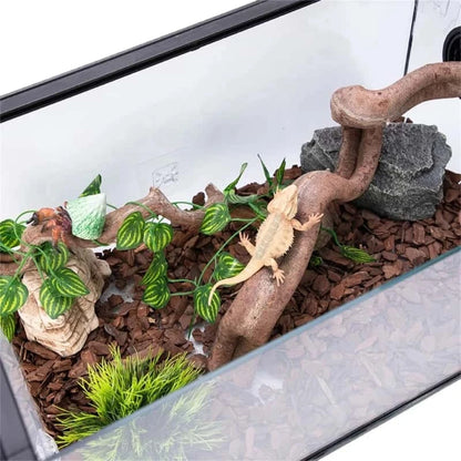 Liane en Bois de Vigne pour Terrarium