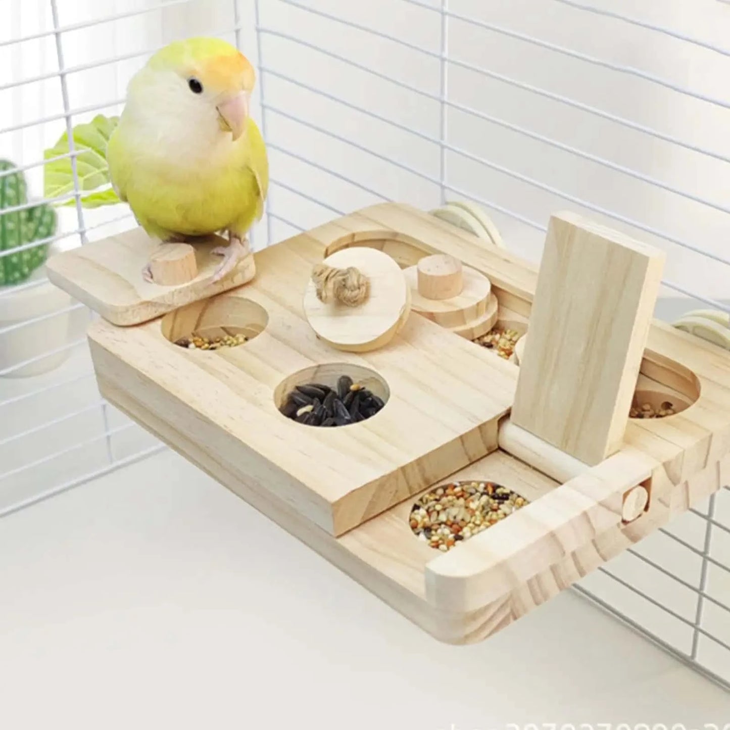 Jouet d’intelligence pour oiseaux | Plateau à friandises en bois