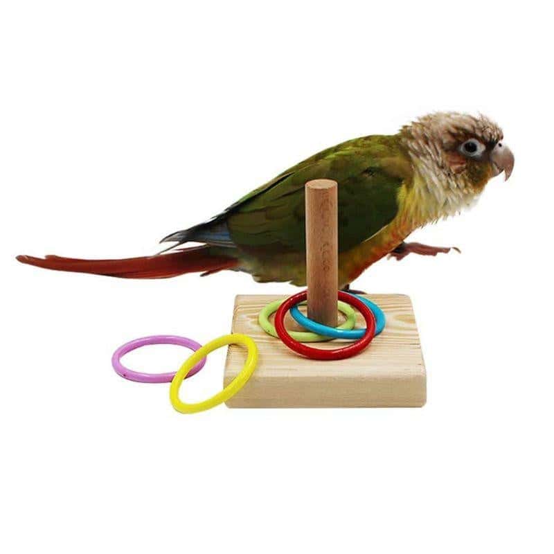 Jouet éducatif avec anneau pour oiseaux | Bois & plastique