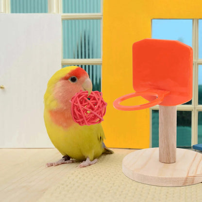Panier de Basket pour Oiseaux | + 3 Balles