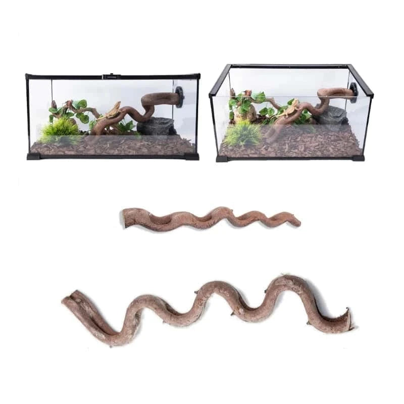 Liane en Bois de Vigne pour Terrarium