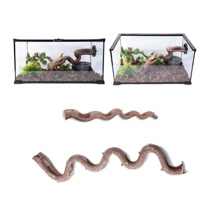 Liane en Bois de Vigne pour Terrarium