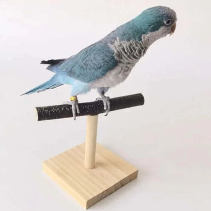 Perchoir en Bois Naturel pour oiseaux